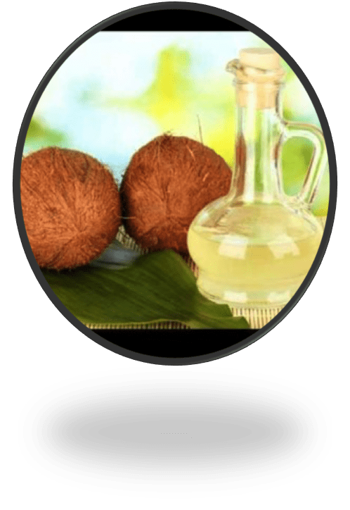 Super Food Coconut Oil Benefits